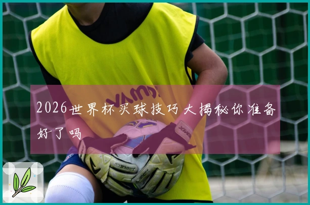 2026世界杯买球技巧大揭秘你准备好了吗