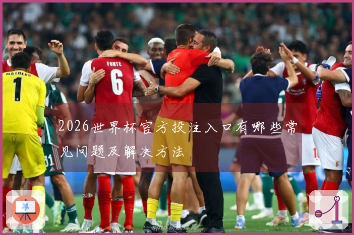 2026世界杯官方投注入口有哪些常见问题及解决方法