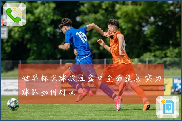 世界杯买球投注盘口全面盘点 实力球队如何对决