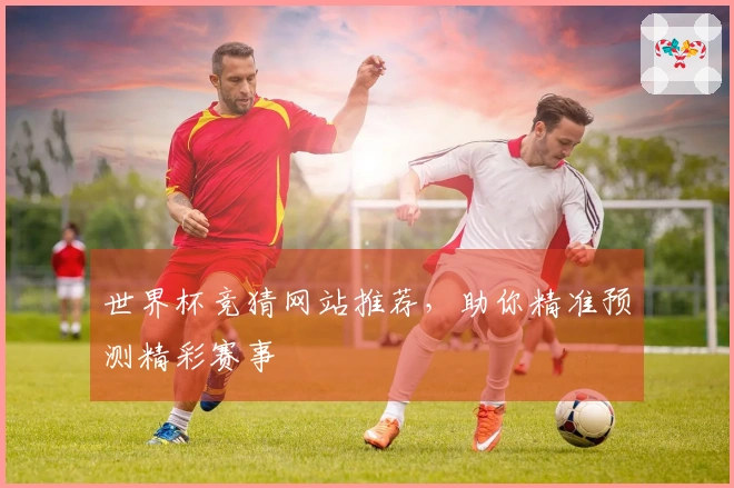世界杯竞猜网站推荐,助你精准预测精彩赛事