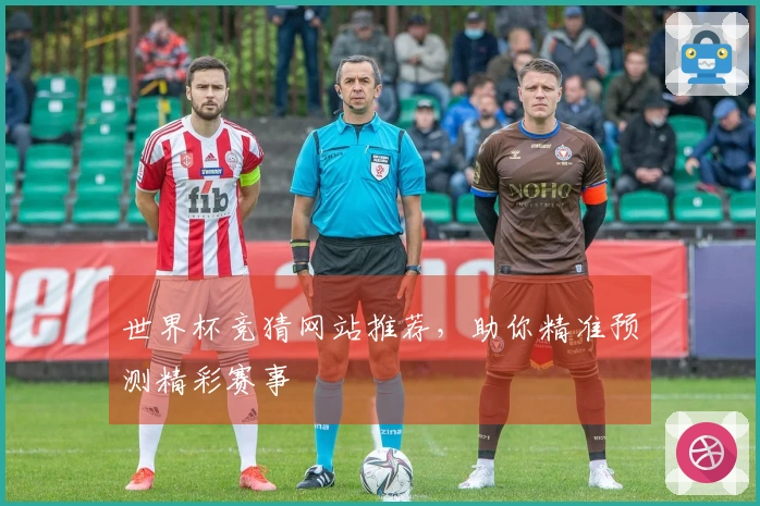 世界杯竞猜网站推荐，助你精准预测精彩赛事