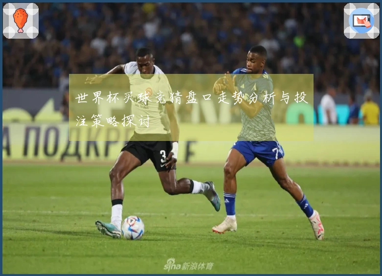 世界杯买球竞猜盘口走势分析与投注策略探讨