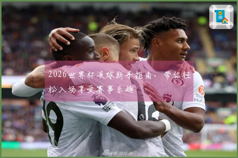 2026世界杯滚球新手指南,带你轻松入场享受赛事乐趣