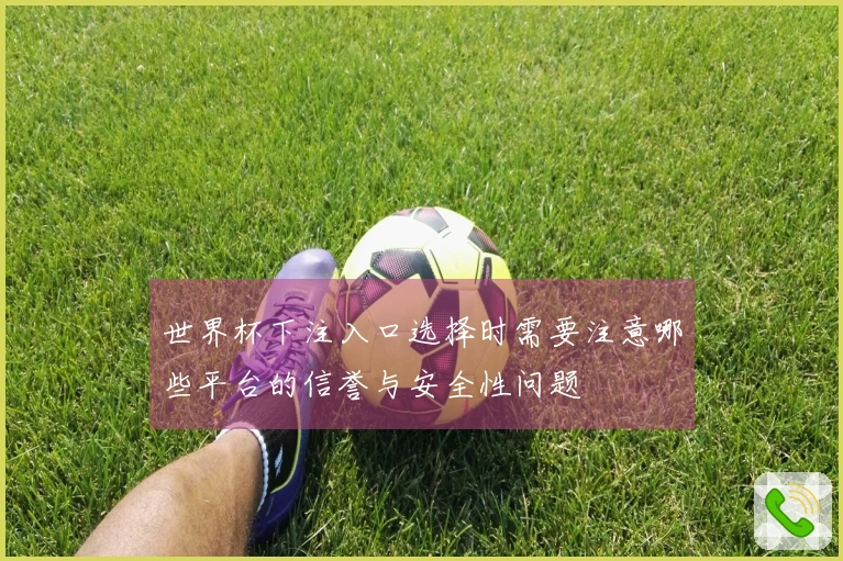 世界杯下注入口选择时需要注意哪些平台的信誉与安全性问题