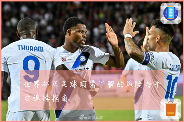 世界杯买足球前需了解的风险与平台选择指南