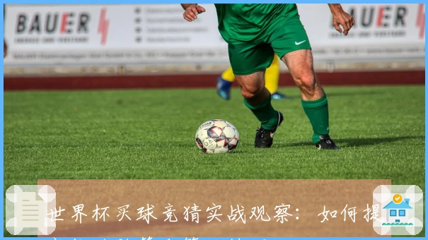 世界杯买球竞猜实战观察:如何提高你的胜算和策略技巧