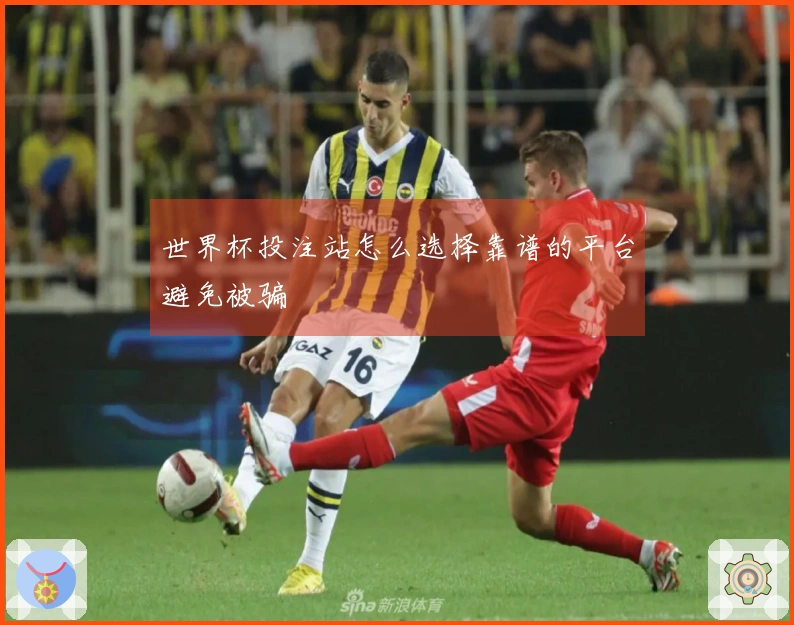 世界杯投注站怎么选择靠谱的平台避免被骗