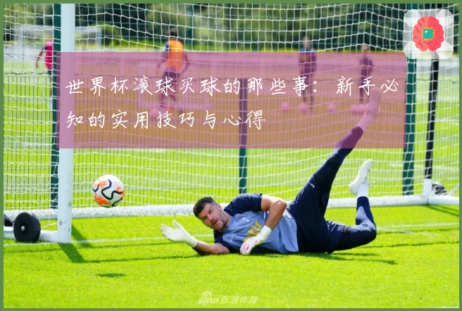 世界杯滚球买球的那些事:新手必知的实用技巧与心得