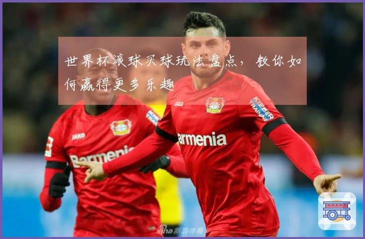世界杯滚球买球玩法盘点,教你如何赢得更多乐趣